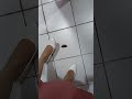 Snail Crushing Crushfetish Snail Heels Snail Crushing Crushfetish Snail Heels