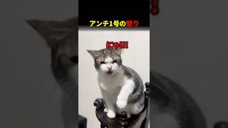 アンチ1号の怒り