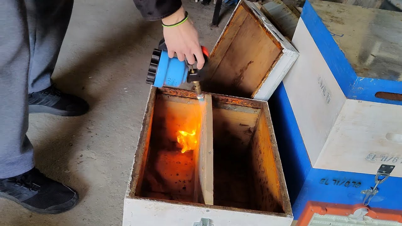 απολύμανση κυψελών