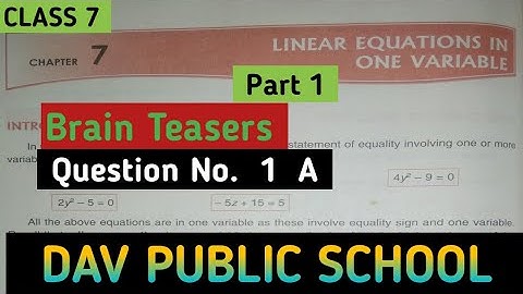Dav Class 7 Maths Chapter 7 || Brain Teasers || Linear Equation In One Variable  || #davmaths