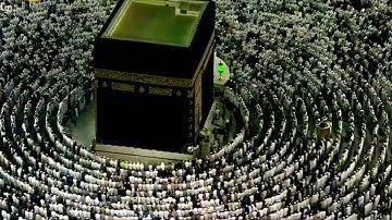 فَلَا تَعْجَلْ عَلَيْهِمْ ۖ إِنَّمَا نَعُدُّ لَهُمْ عَدًّا _  تلاوة مميزة  للشيخ ماهر المعيقلي