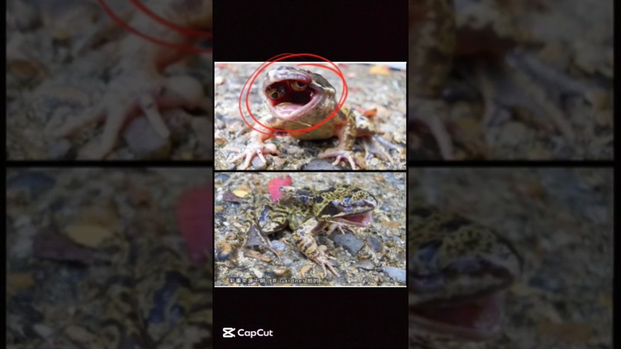 I saw it for the first time. 