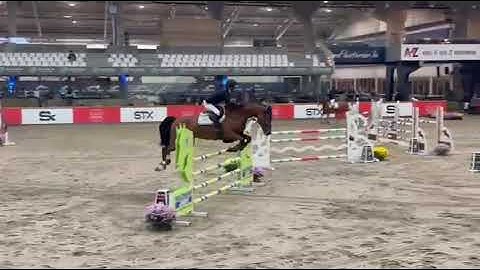 251019b CHACINJALA PS clear fist indor FSA mare by Chacoon Blue