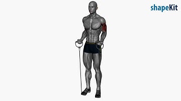 biceps drag curl resistance band