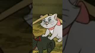 Ladies do not start fights but they can finish them. #marie #cats  #lady #girl #feminine #disney