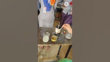 Iodine test for starch #iodinetest #scienceexperiment  #experiment  #highlights