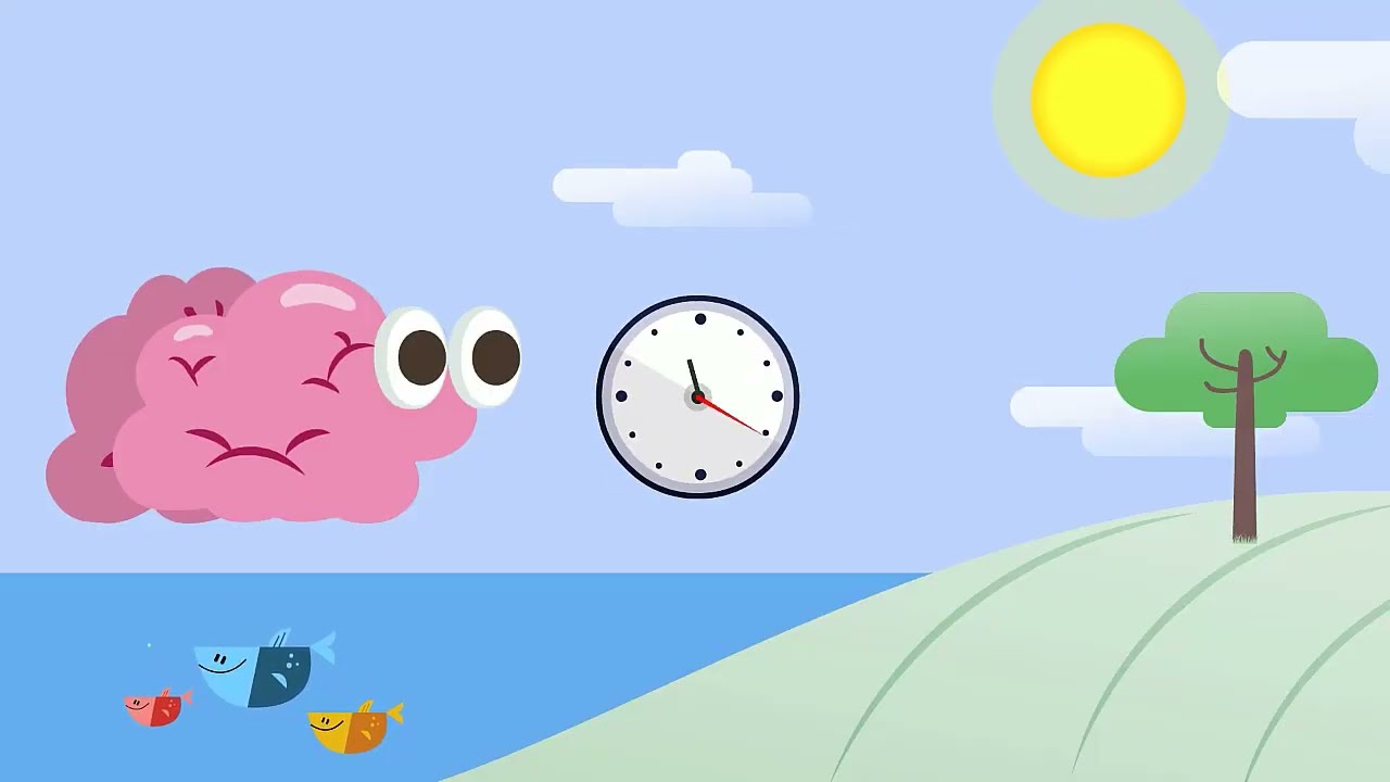 Le sommeil 4 : les rythmes circadiens, hypothalamus et la mélatonine