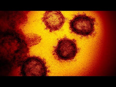 Watch live: Connecticut Gov. Lamont gives update on coronavirus