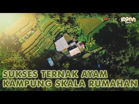 Video: Franchise tanpa investasi: apakah itu nyata?