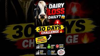 30 days challenge || Mistake se profit tak || Dairy Empire 360 🐄