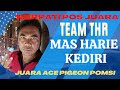 TEAM THR HARIE KEDIRI MERPATI POS JUARA ACE PIGEON POMSI [REVIEW] TEAM ELITE TEAM JUARA