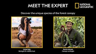 What is animal life like in the forest canopy? - Meet the Expert | National Geographic