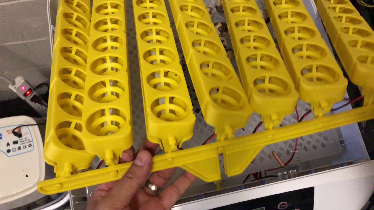 How To Remove Egg Turners from 56 eggs incubator YouTube