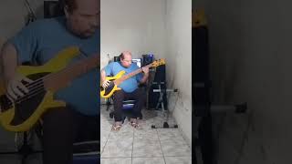 Contrabaixo Hino 304 short