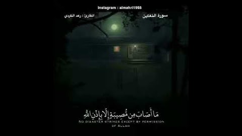 ما تيسر من سورة التغابن بصوت القارئ رعد الكردي