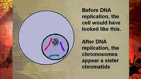 LS Lesson 7 Segment 1 SD Video Sharing copy