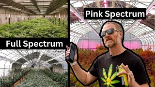 Exploring the Best Greenhouse LED Grow Lights: A Comprehensive Guide