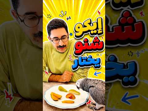 🤔 شنو راح يختار إيكو؟ 🥭🍎🍑 | النتيجة فاجأت الجميع! 🦜 #birds #funny#