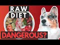 Is Raw Food Harmful For Dogs?