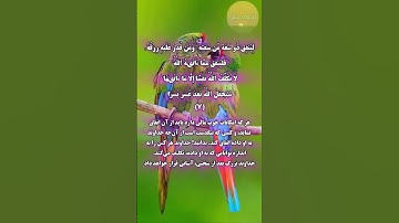 #سوره_طلاق.مترجم #مسعود_ریاعی ،گوینده #بهروز_رضوی #ترجمه_فارسی_قرآن #قرآن_مهر