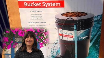 Root Spa DWC Hydroponic System to Grow Tomatoes Indoors