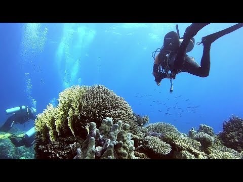 Diving Egypt - Abu Dabbab Caves