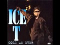 Ice T - Reckless