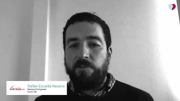 Interview Stefan Escaida, Inria, about pacing leads and modelisation