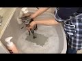かわいい子猫 初めてのシャンプー お風呂【スズ編】- First of shampoo kittens -