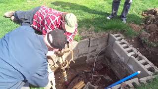 Lock Down Day 19 Chicken Coop Build part 2 YouTube
