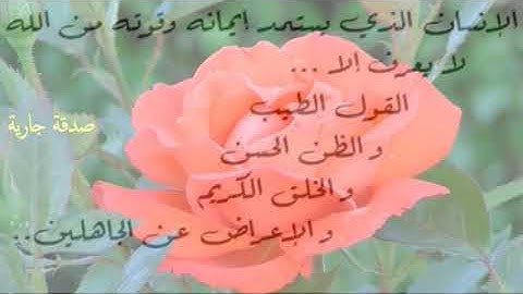 احمد العجمي تلاوة عذبة من سورة الرحمن حالات واتس دينية صوت جميل قرآن كريم تلاوة خاشعة وعطرةانستقرام