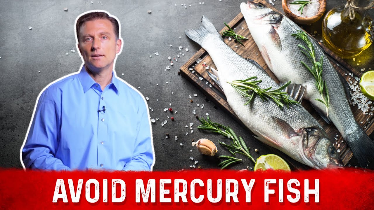 Mercury Fish List: What Fish Should I Eat To Avoid Mercury? – Dr.Berg
