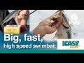 The Final Copy from Strike King! Power Fish your baits with speed.