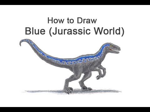 How To Draw Blue Velociraptor From Jurassic World Youtube