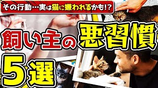 【猫に嫌われるかもしれない行動選】'噛み癖'も実は飼い主さんの行動が原因子猫飼い始めのご家庭もチェック