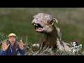 Black Sheep (2006) Horror Movie Review