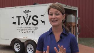 Large Animal Vet Fills Need In & Around Lamar County, Georgia
