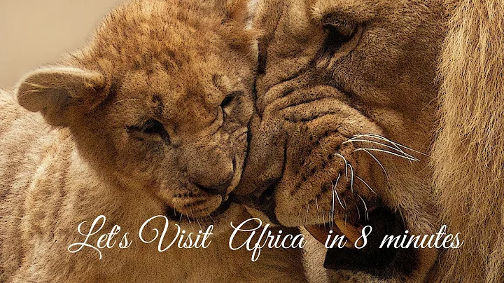 Safari Tour, Africa | Drone View in 4K | Explore Wild Life | with Relaxing Music