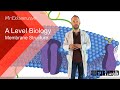 Membrane structure - A Level Biology