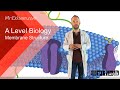 Cell Membrane Structure and Function Quiz