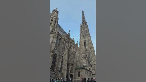 Vienna - Janalibra TikTok
