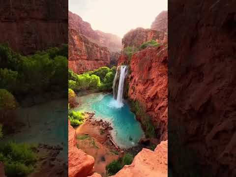 لقيني أبو بكر فقال كيف أنت يا حنظلة قال قلت نافق حنظلة قال سبحان الله ما تقول قال قلت