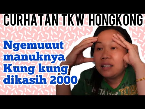 Ngemuuuttttt manuknya kung kung dikasih 2000