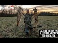 Using Rabbit Distress and Coyote Vocals For Coyote Hunting Success