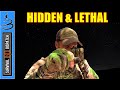 Disappear  become dangerous during shtf  camouflage secrets