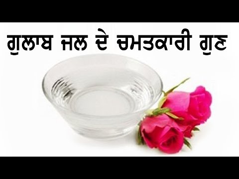 ਇਹ ਪਾਣੀ ਤੁਹਾਡੇ ਚੇਹਰੇ ਨੂੰ ਰਾਤੋ ਰਾਤ ਗੋਰਾ ਕਰ ਸਕਦਾ ਹੈ ll Beauty Tips for Face with Rose Water in Punjabi