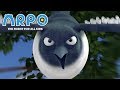 ARPO The Robot For All Kids - Angry Bird | | 어린이를위한 만화