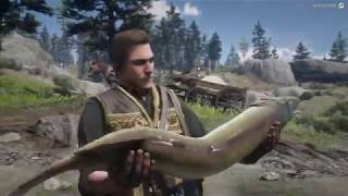 Red Dead Redemption 2 hunting wagon total storage（big fishes） guide