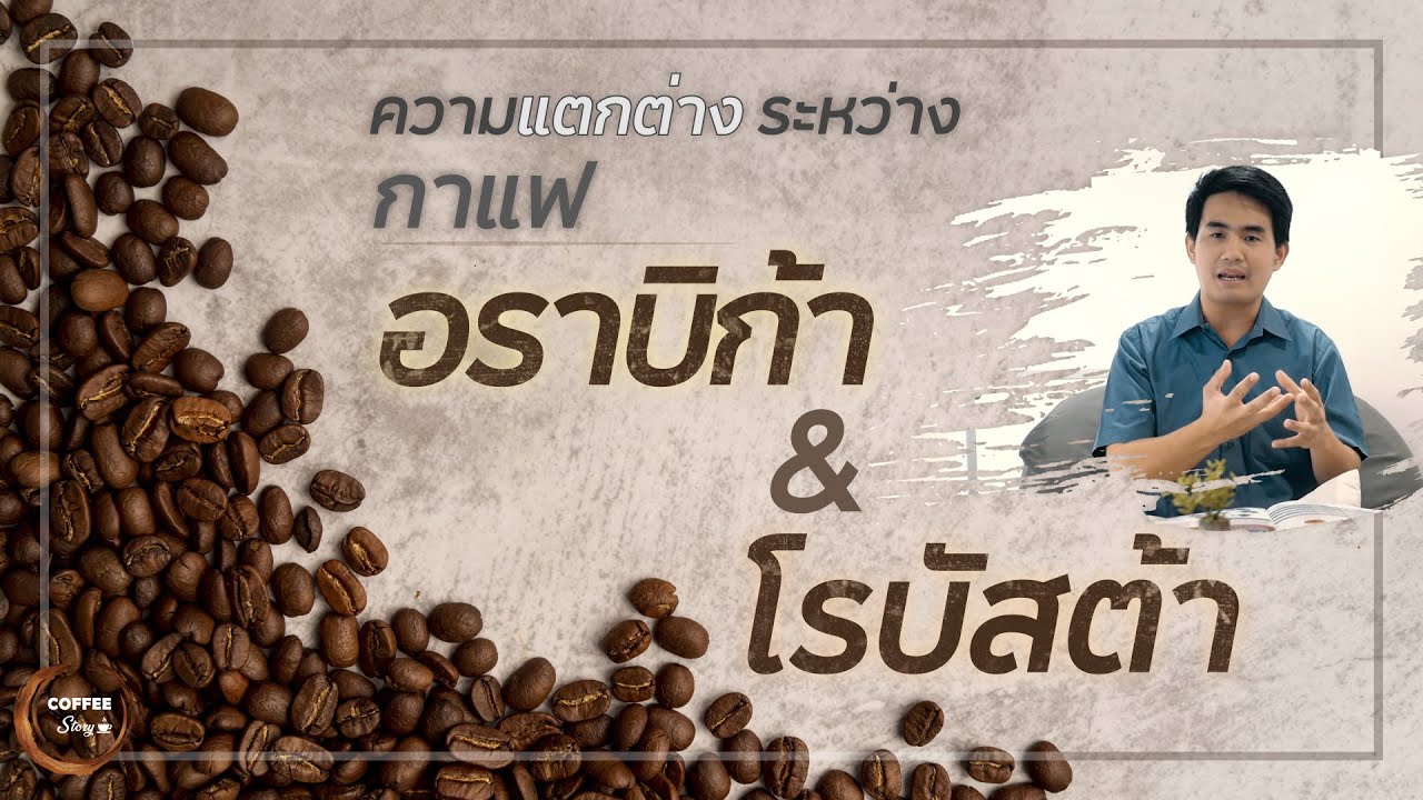 Coffee Story EP.2 I ความแตกต่างระหว่าง กาแฟอราบิก้า\u0026โรบัสต้า