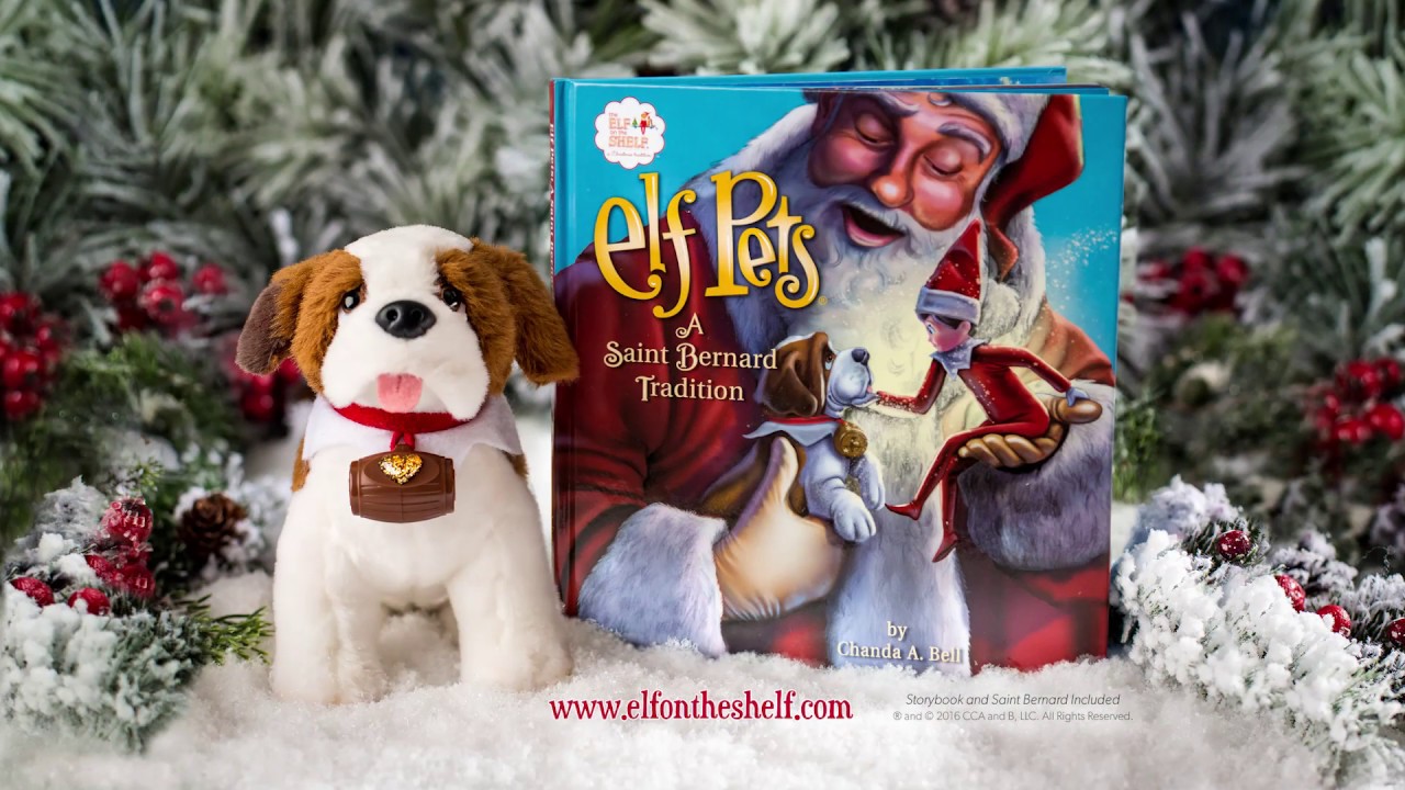 A Saint Bernard Tradition The Elf on the Shelf Pets 